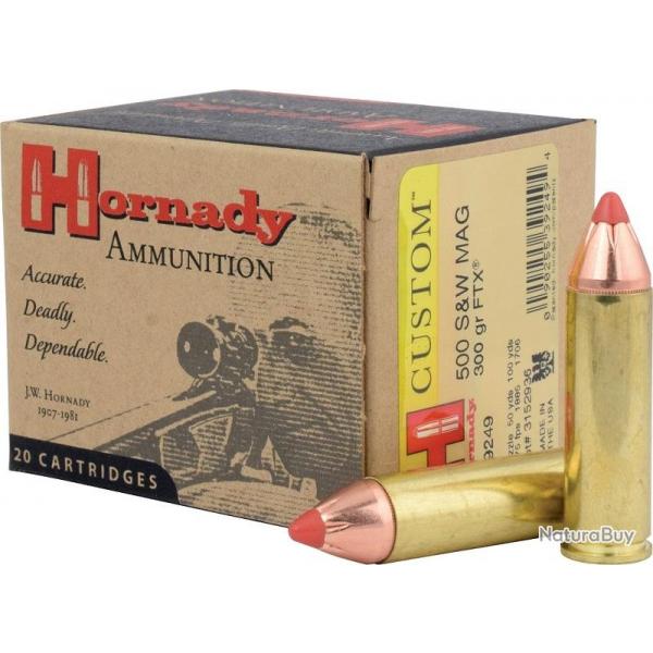 BOITE DE 20 CARTOUCHES HORNADY 500 S&W 300 GR FTX