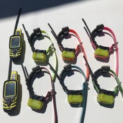 COLLIERS GPS + DRESSAGE