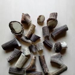 Bois de cerf morceaux