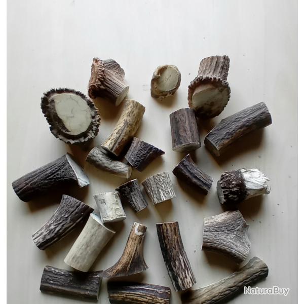Bois de cerf morceaux