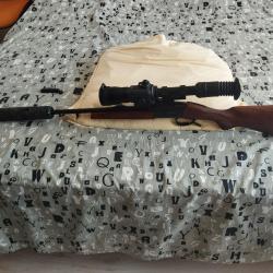 carabine custom silence