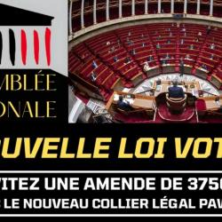 Collier Anti Aboiement pour Chiens | Conforme Nouvelle Loi 2024 Bien-Être Animal | 100% Automatique