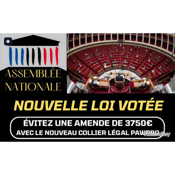 Collier Anti Aboiement pour Chiens | Conforme Nouvelle Loi 2024 Bien-tre Animal | 100% Automatique