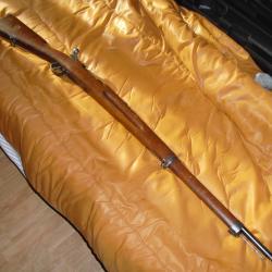 carabine carl gustaf categorie d
