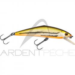 Poisson nageur SMITH D Contact 85 31