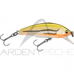 Poisson nageur SMITH D Incite 53 12