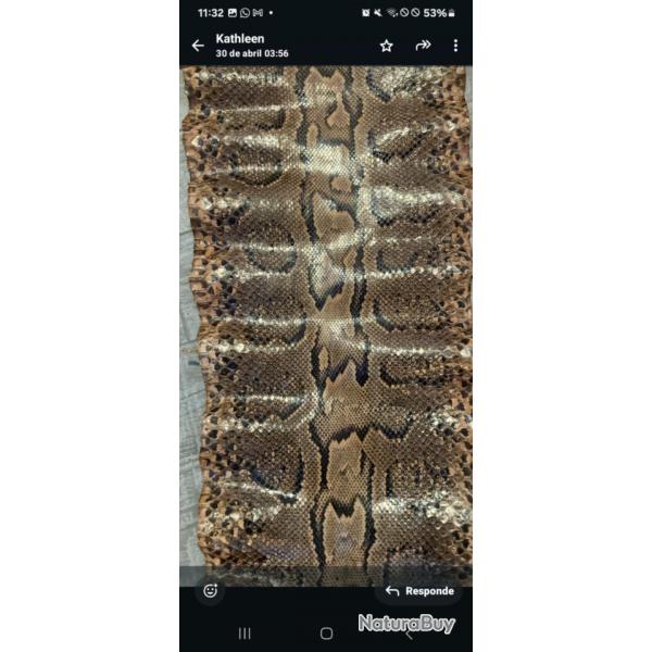 Peau de serpent