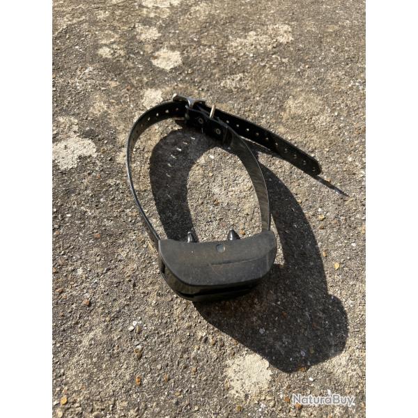 Collier sportdog 1825