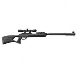 Carabine à plomb GAMO Roadster IGT 10 Cal 4.5mm + Lunette 4x32