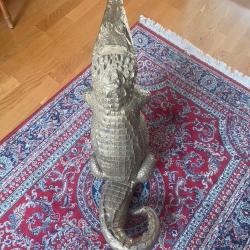 Petit crocodile lampe