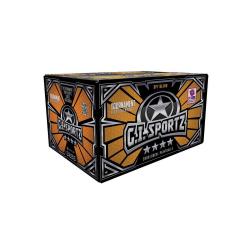Billets de peinture GI Sportz 4 étoiles