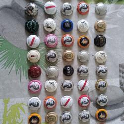 50 capsules de champagne
