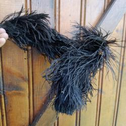 Plume de Casque