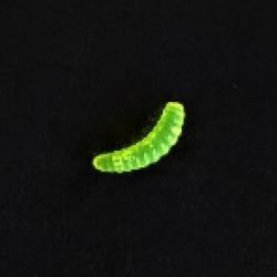 24 ASTICOTS colori jaune-vert
