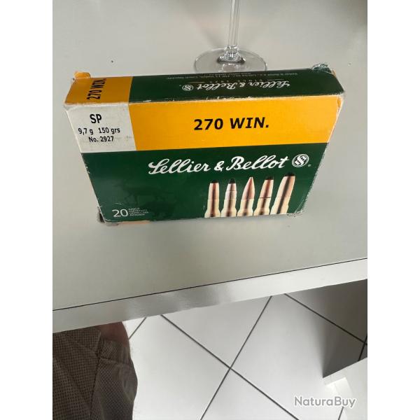 Munitions 270 win mag
