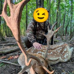 Package chasse aux daims