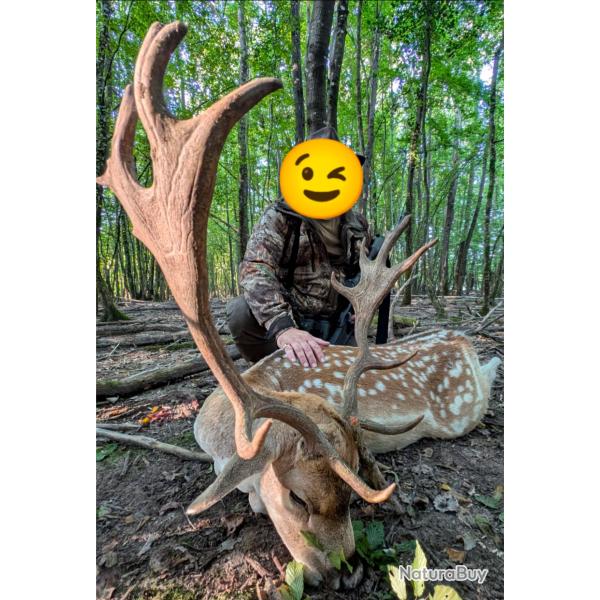 Package chasse aux daims