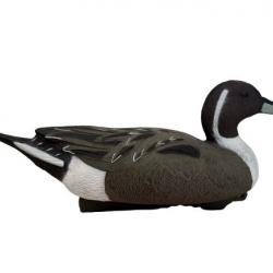 Pilet HD Duck Hunter Le lot de 12