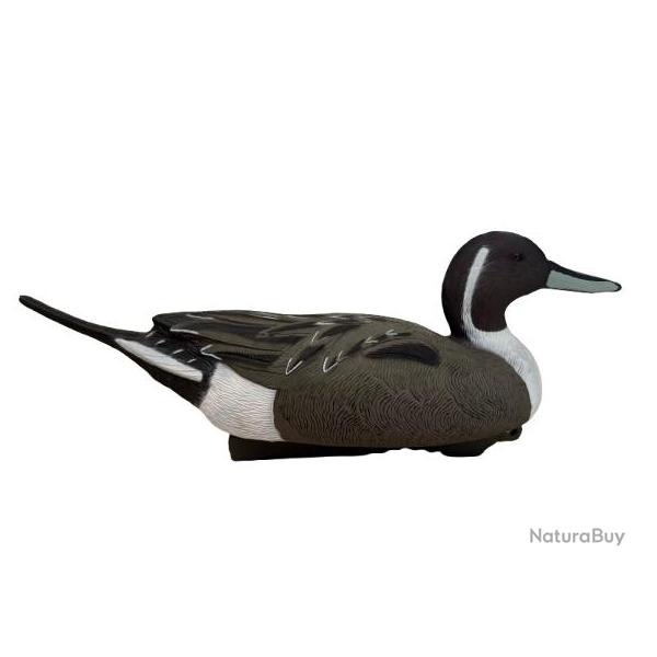Pilet HD Duck Hunter Le lot de 12