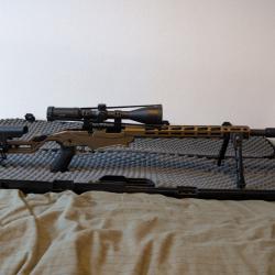 Carabine Ruger Précision Rimfire 22LR Desert Tan
