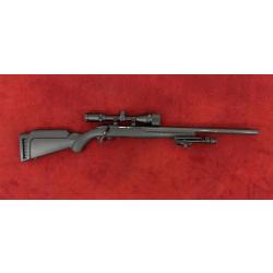 D - RUGER PRECISION SILENCE 22LR + LUNETTE + BIPIED