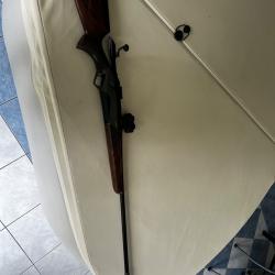 Carabine Benelli Lupo 300 win mag + point rouge burris rt1 + frein de bouche