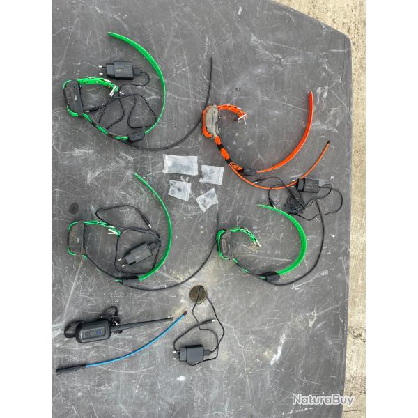 Collier gps dogtra pathfinder