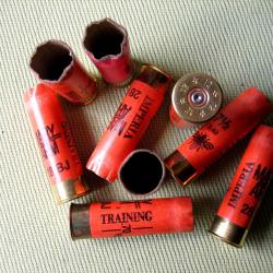 Douilles  carton  cal  12  tirées  une  fois  bon état  culots  de  12 mm