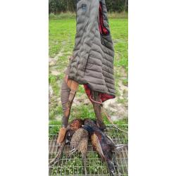 CHASSE DU PETIT GIBIER A LA JOURNEE EN SOLOGNE