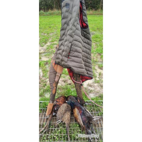 CHASSE DU PETIT GIBIER A LA JOURNEE EN SOLOGNE
