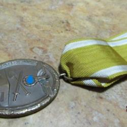 Médaille ALLEMAGNE WW2 MEDAILLE MUR DE L'ATLANTIQUE Organisation TODT Allemand
