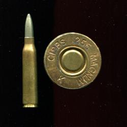 .256 Gibbs Magnum - RARE calibre Anglais - marquage : GIBBS 256 MAGNUM K - balle nickel pointue