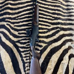 Carabine Benelli Argo Endurance cal.30-06 ca.50cm - point rouge Holosun 2MOA