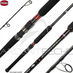 Canne PENN Conflict Offshore Pelagic
