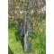 petites annonces chasse pêche : Airsoft STORM PC1-Short OD