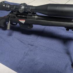[BAISSE DE PRIX EXCEPTIONNELLE] Savage 10 308 canon lourd avec lunette et bipied