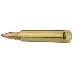 Sologne .300Win Mag type NOSLER PARTITION 180g