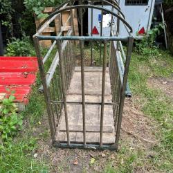 Cage transport animaux