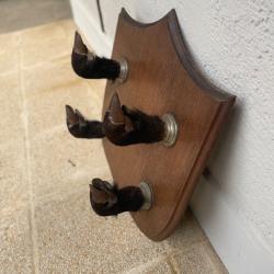 Porte fusils pattes de sanglier