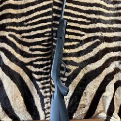 Carabine GAMO Delta Black synthétique - 4.5mm - 7,5 joules