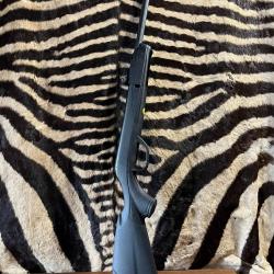 Carabine GAMO Delta Black synthétique - 4.5mm - 7,5 joules
