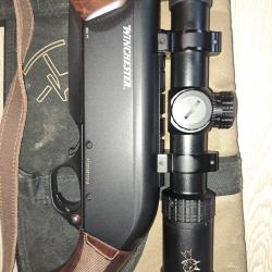 Lunette le lynx