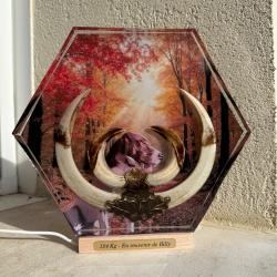Trophée de sanglier avec photo