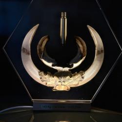 Trophée de sanglier en résine