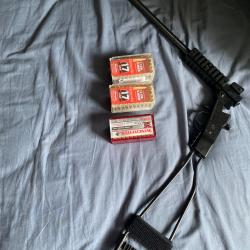 Chiappa Little badger 17hmr