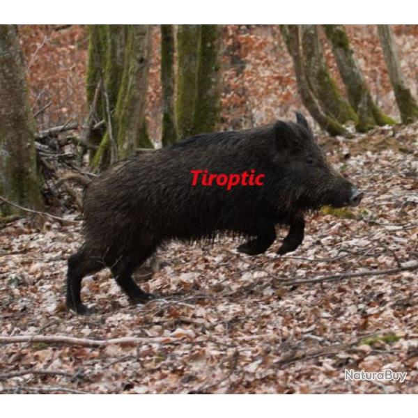 Point rouge TIROPTIC D-94