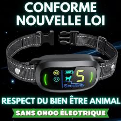 Collier Anti-Aboiement Rechargeable pour Chien Accessoire Entraînement par Vibration  Conforme 2025