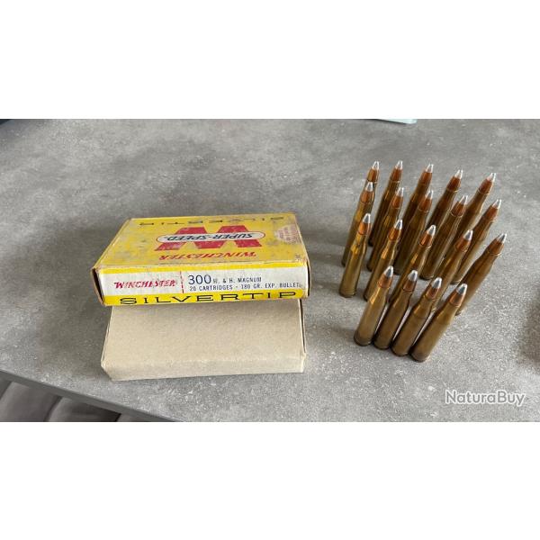 Munitions 300 H&H Magnum