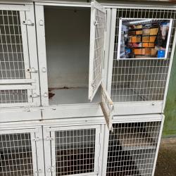 cages rongeurs