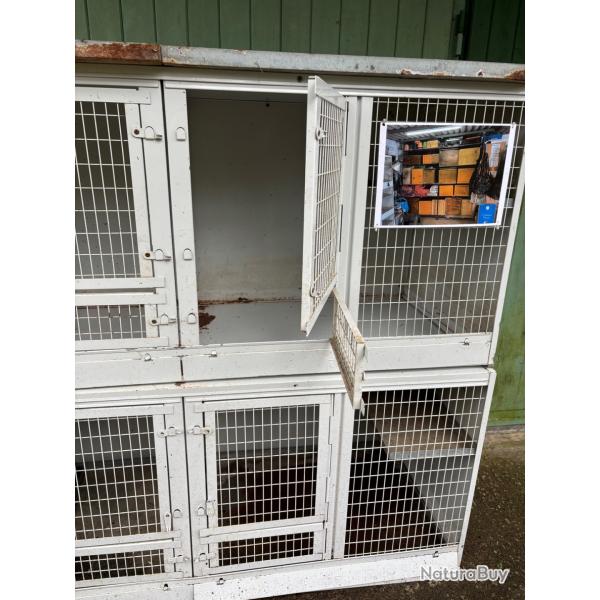 cages rongeurs